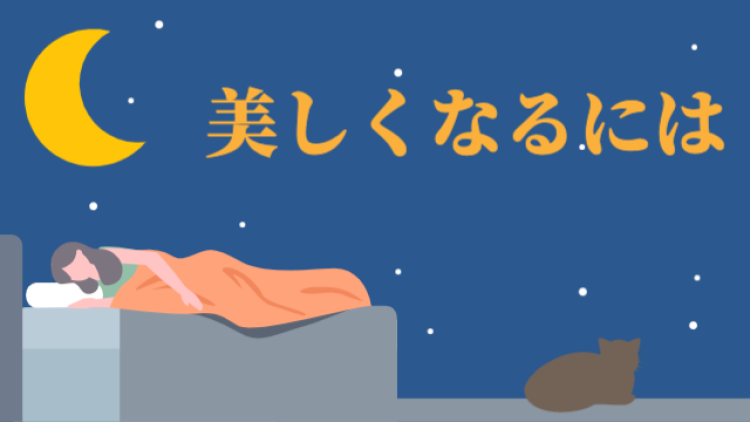 cook 今日なに作ろ？